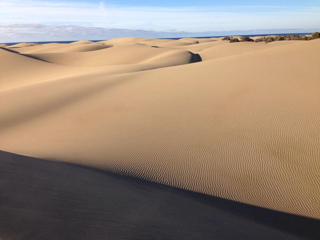Parque Luz Villa Maspalomas  Eksteriør billede